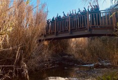 IMG-7f5d0908bcfca181d35896826f6d5801-V